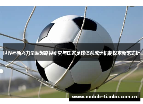 世界杯新兴力量崛起路径研究与国家足球体系成长机制探索新范式析